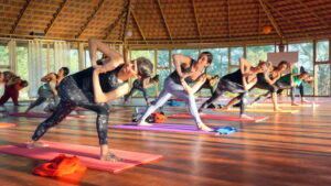 Advanced Yoga Retreat India